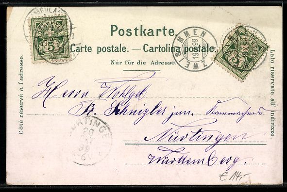Cartes postales: Litho Zweisimmen, Totalansicht und Laube – D'occasion à Berlin par bartko-reher 1