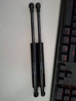 Stabilus Liftomat 8483UI 0380N 380NM