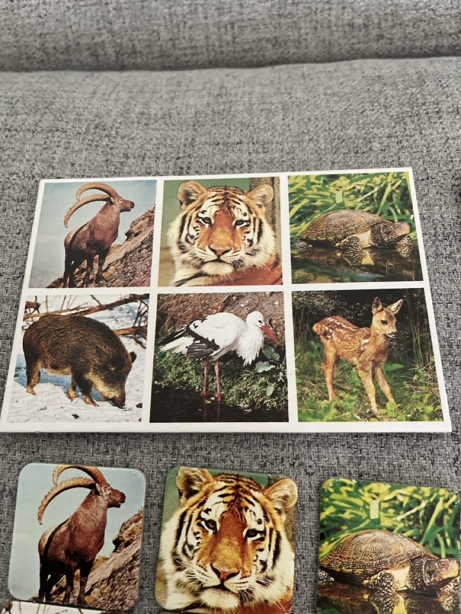 Giochi: Zoo-Lotto, Kinderspiel – Usato da Oberrieden venduto da Boccia1981 4