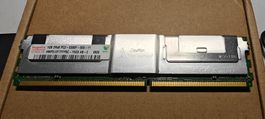 Hynix 1GB 2Rx8 PC2 - 5300F-555-11
