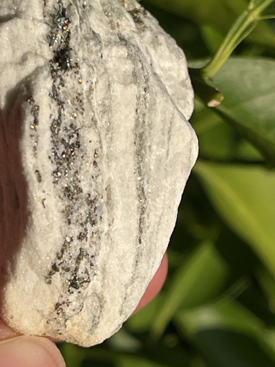 Minerali & Pietre curative: Top! Pyrit in Dolomite aus dem Binntal, VS – Usato da Uster venduto da Arrayo 8