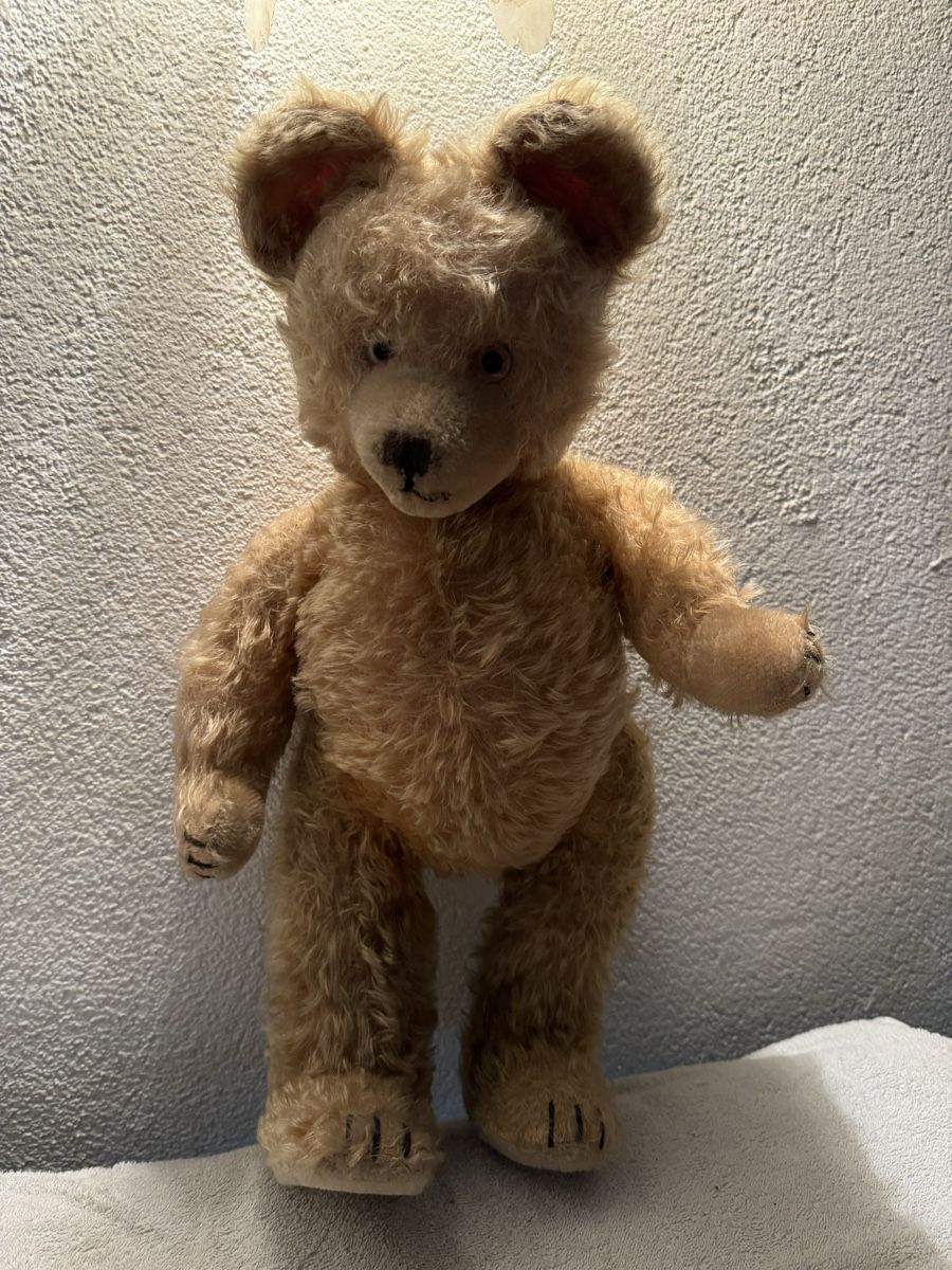 Spielzeuge: Teddybär – Gebraucht aus Binningen von kal_5nsj
