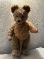 Teddybär