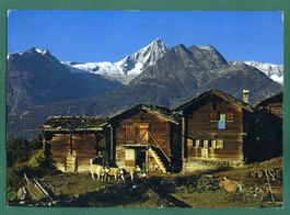 Voralpe Hellelen, Bietschhorn, 1971, gelaufen, Grossformat