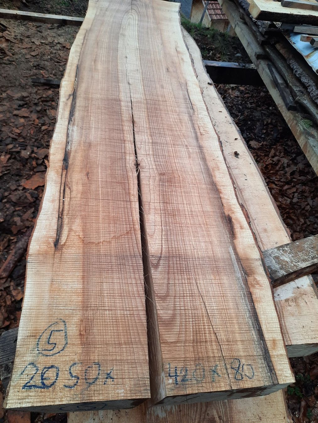 Articoli in legno: Klotzbrett Esche sehr dick – Nuovo (secondo la descrizione) da Heiligenschwendi venduto da kiplimo