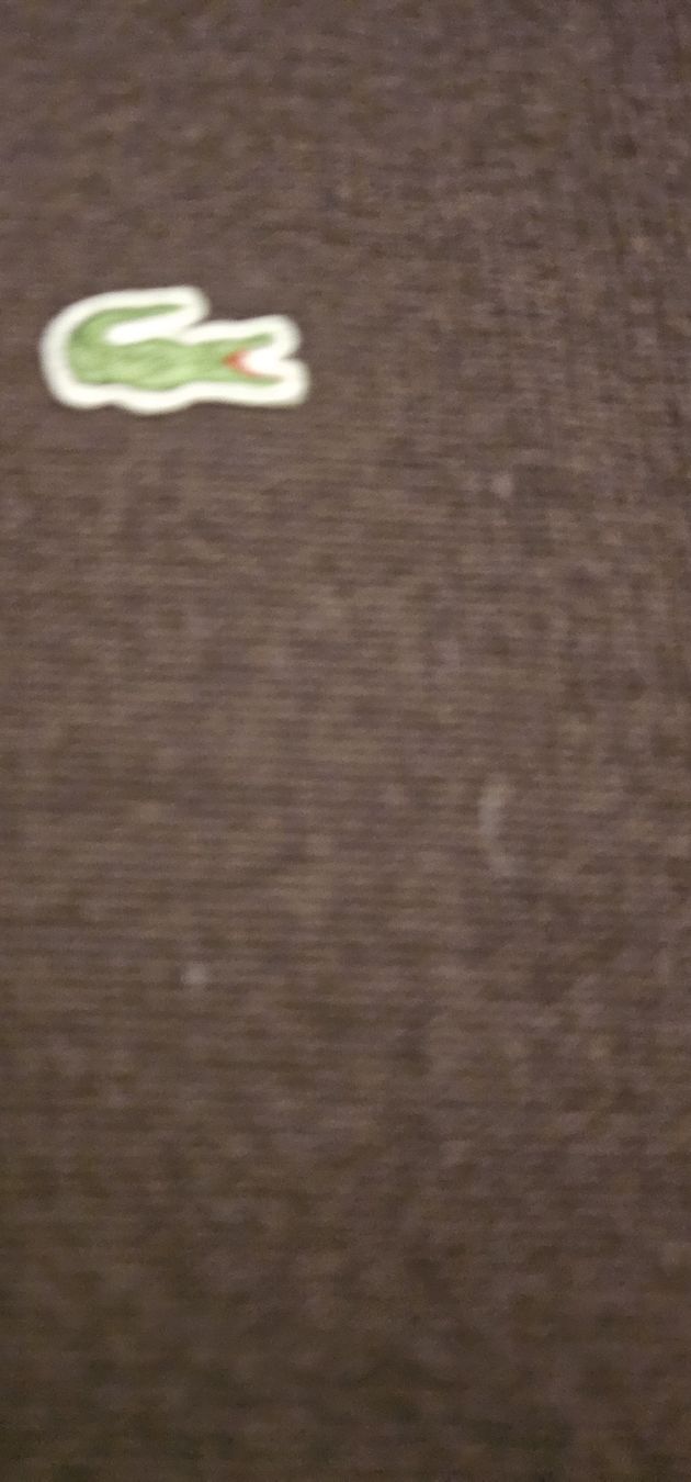 Lacoste Maglioni & Felpe: Lacoste Wollpullover, Herrenpullover, Top Zustand, Grösse XL – Nuovo (secondo la descrizione) da Riedikon venduto da Winter21. 2
