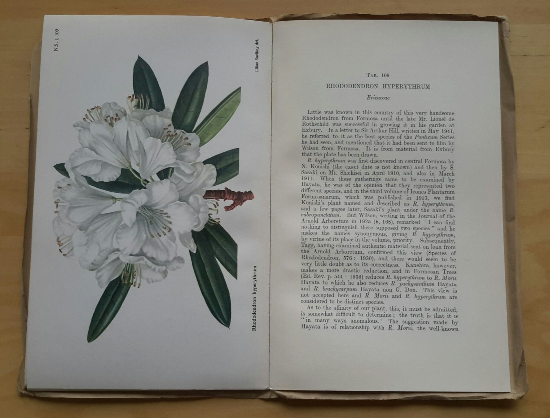 Libri: Curtis's  "Botanical Magazine" , Vol. 167 , 1950 . – Nuovo (secondo la descrizione) da Burgdorf venduto da Olli.34 2