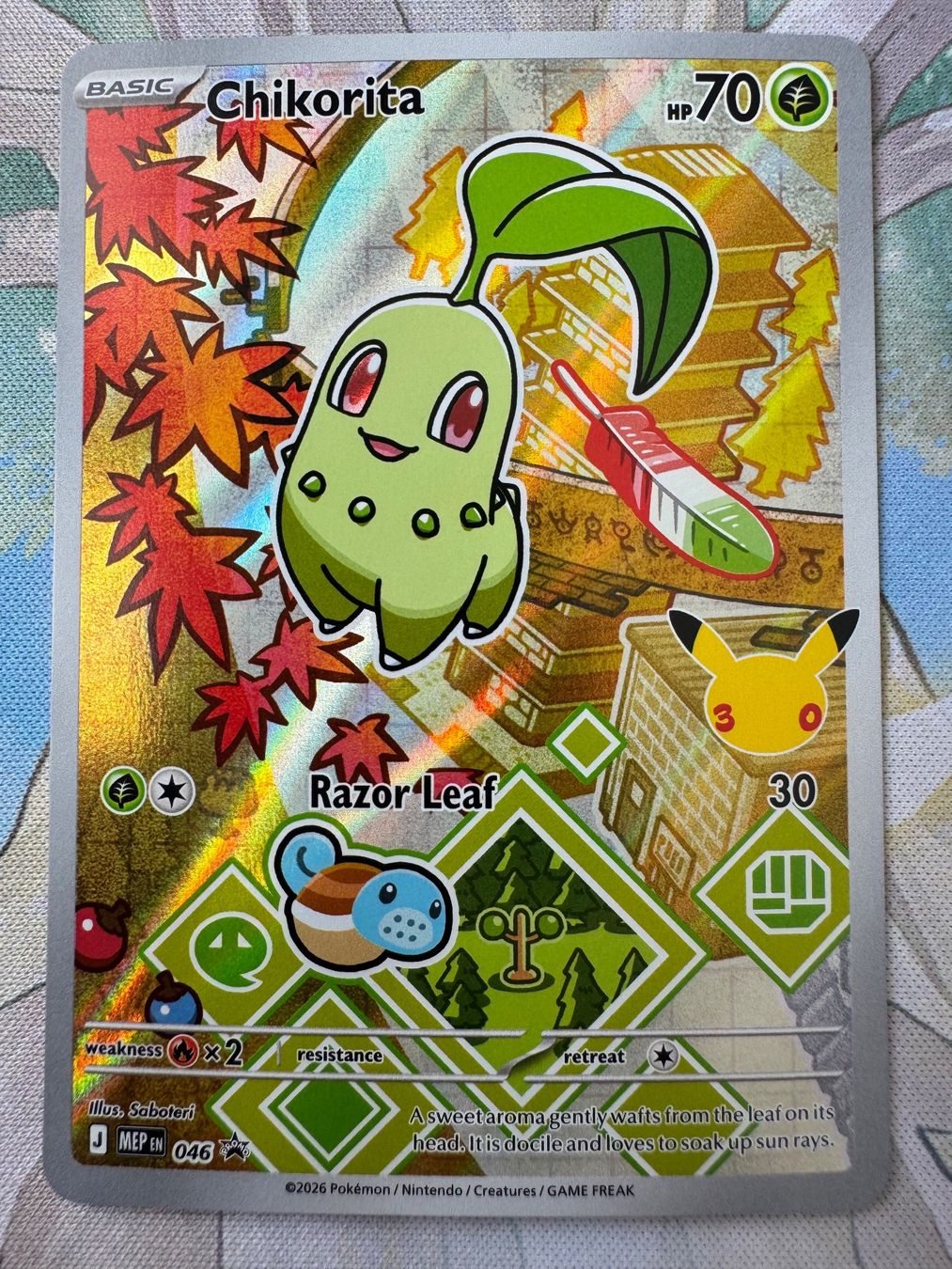 Pokémon Carte collezionabili: First Partner Series 2 - Johto Starter Set - Near Mint – Nuovo (secondo la descrizione) da Oberwil BL venduto da Chelsea26 3