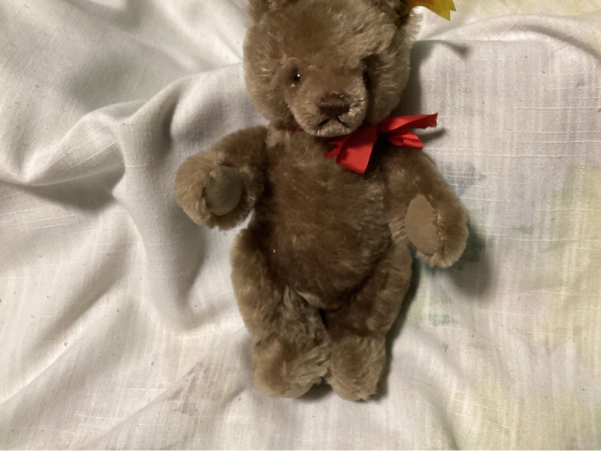 Steiff Giocattoli: STEIFF TEDDY MIT KNOPF UND FAHNE – Usato da Münchenstein venduto da NoSu98 1