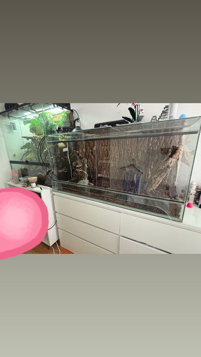 Terrario: Terrarium glass mit plexiglas scheiben  – Nuovo (secondo la descrizione) da Rheinfelden venduto da cpk_8dt5