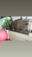 Terrarium glass mit plexiglas scheiben 
