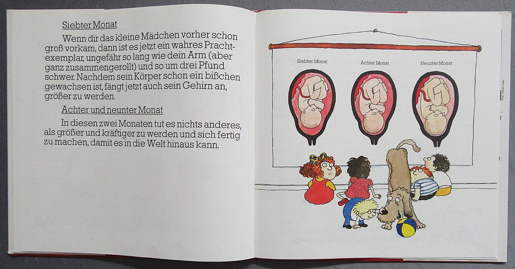 Bücher: von  Dr. Thaddäus Troll - Wo komm' ich eigentlich her ? – Gebraucht aus Auenstein von Padabimbim 7