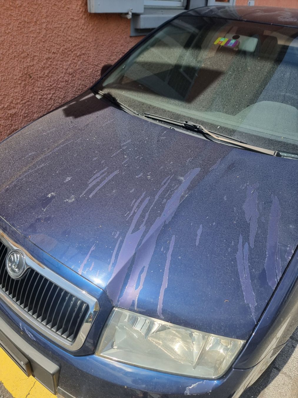 Autos: Skoda  Fabia – Gebraucht aus Willisau von ida_hjx2 6