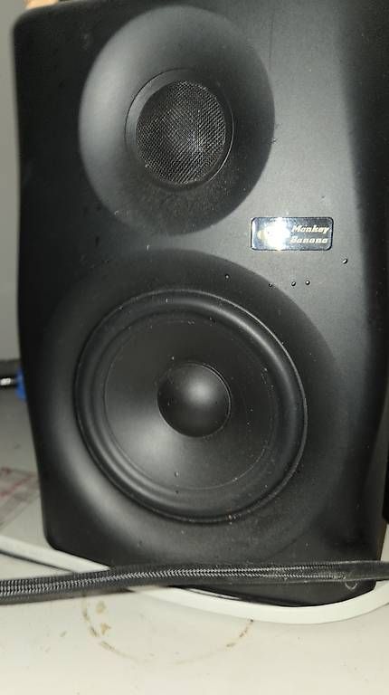 Casse acustiche: Monkey Banana Studiomonitor-Set mit Woofer – Usato da Langenthal venduto da ret_bwm8 1
