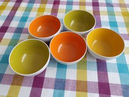 Bunte Cornflakes Schalen - Frühstücksschalen - Dessertschale