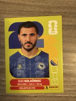 PANINI Fifa BIH 4