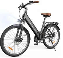 E Bike für Erwachsene 250W