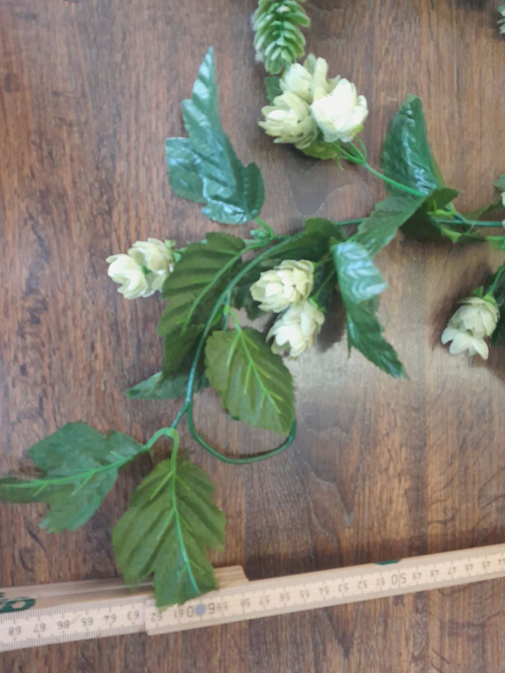 Plantes & graines: Hopfenpflanzen Kunststoff – D'occasion à St.Gallen par Stocken64 1