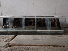 Terrarium