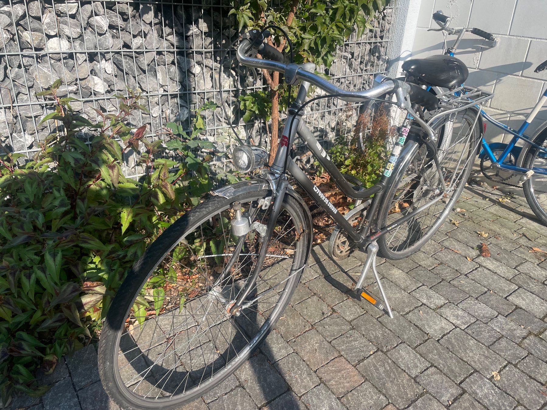 Tour de Suisse Velos: Damenrad Tour de Suisse Stadtrad Silber – Gebraucht aus Häggenschwil von smsswsssng