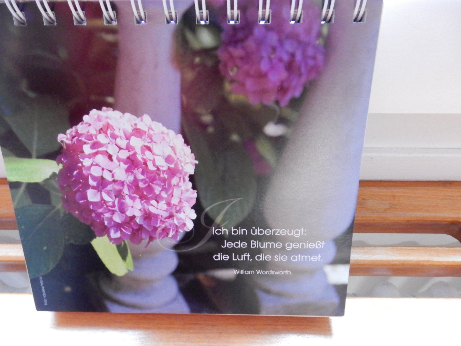 Kalender: immerwährender Kalender 'Paradies Garten' Groh NEU – Neu (gemäss Beschreibung) aus Jona von JOberg_25 2