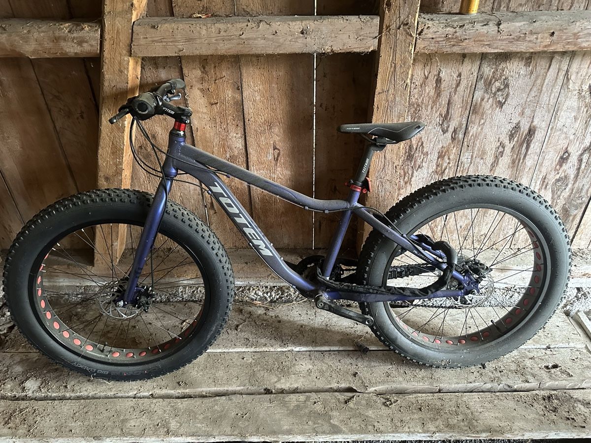Totem Biciclette: Fatbike Totem – Usato da Münsingen venduto da fab_ny78 1