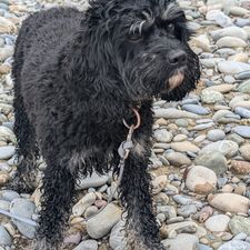 Profile image of Roger_Serge