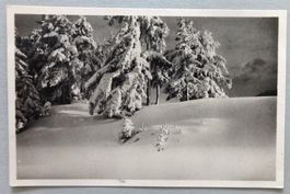 Crans s. Sierre alt. 1500 m