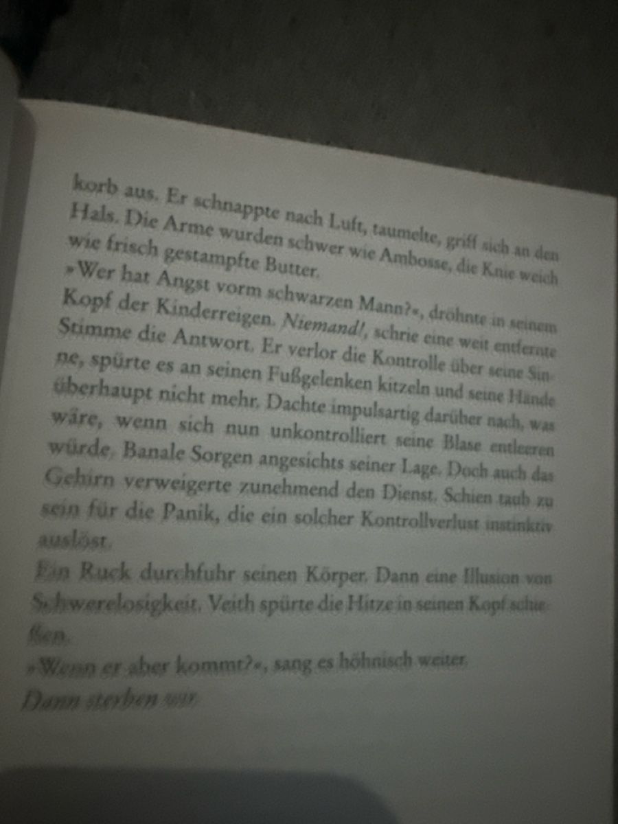Livres: Daniel Holbe Schwarzer Mann Kriminalroman TB – D'occasion à Zürich par Krikri21 7