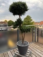 Kunst Buchsbaum mit 3 Kugeln für draussen 140 cm Höhe
