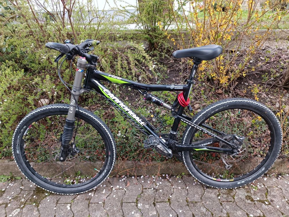 Cannondale best sale rize lefty