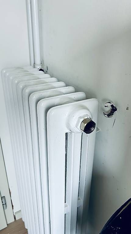 Heizgeräte: Guss-Radiator B53xT15xH98cm – Gebraucht aus Wallisellen von nobiss 1