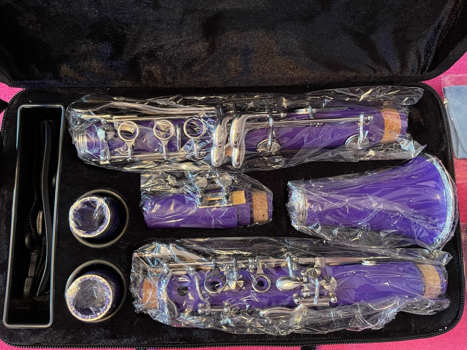 Strumenti musicali: Klarinette violette - ganz neu und wunderschön – Nuovo e nell'imballaggio originale da Villnachern venduto da Durot 2
