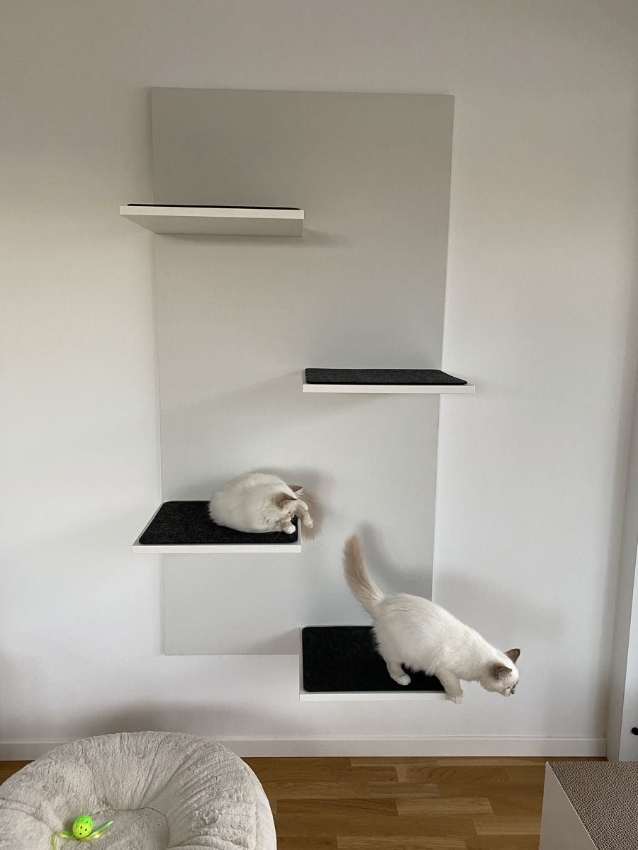 Tiragraffi: Katzenmöbel Wand mit Liegeflächen – Usato da Zürich venduto da ali_9qm9