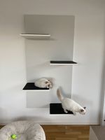 Katzenmöbel Wand mit Liegeflächen