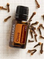 🌿 dōTERRA Clove (Nelke) – 15ml