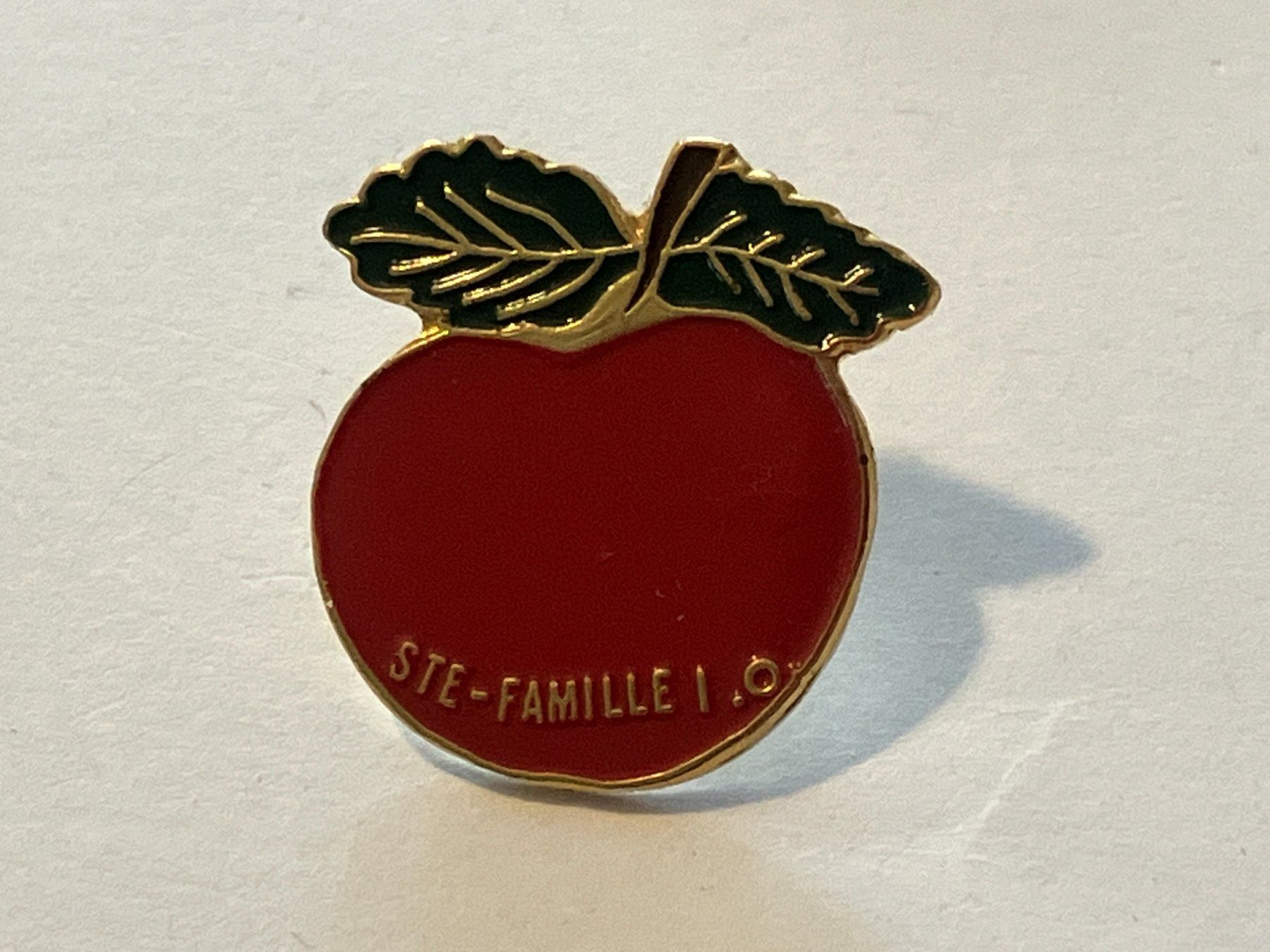 Placchette & Badge: 1 Pin Ste-Famille I.O – Usato da Basel venduto da djwwpp