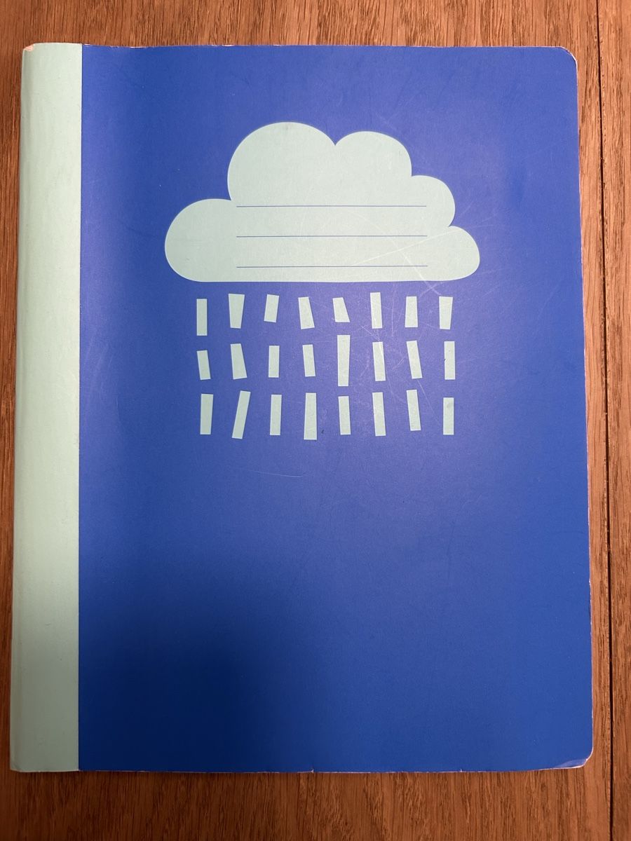 Blocchi: Notizbuch kariert A4 blau neuwertig – Nuovo (secondo la descrizione) da Luzern venduto da mor_97g7