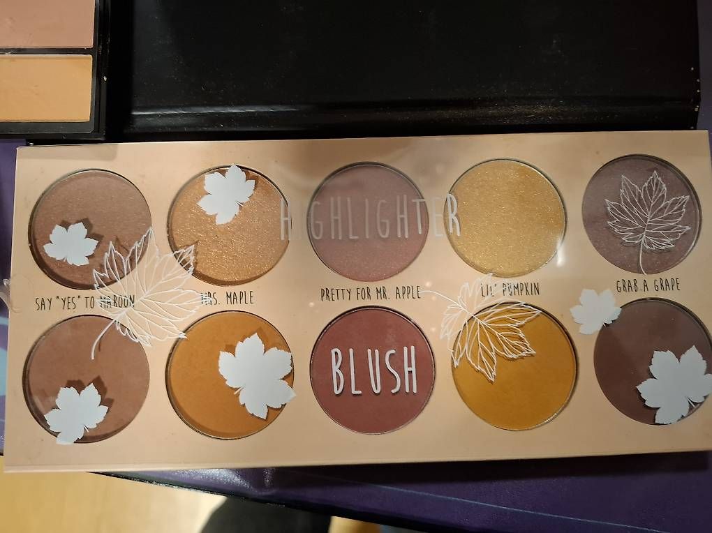 Make-up: Lotto blush e illuminanti – Usato da Hochdorf venduto da gal_w9hk 1