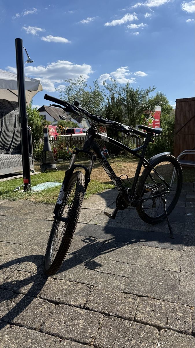 Wheeler Biciclette: Wheeler MTB – Usato da Däniken SO venduto da sunnyresales