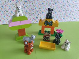 Duplo (Y83) Set Katzen