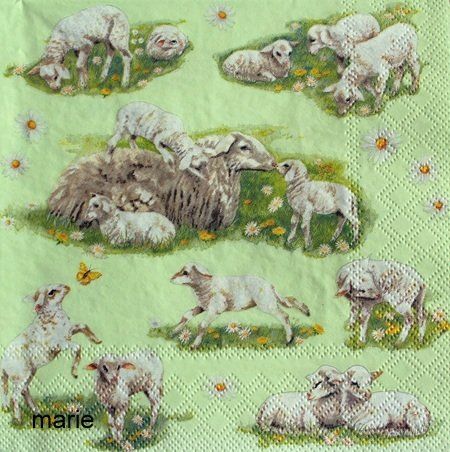 Bastelsets: Serviette spring with lambs (1104) 3Stk. – Neu (gemäss Beschreibung) aus Schlatt TG von kreativ-atelier