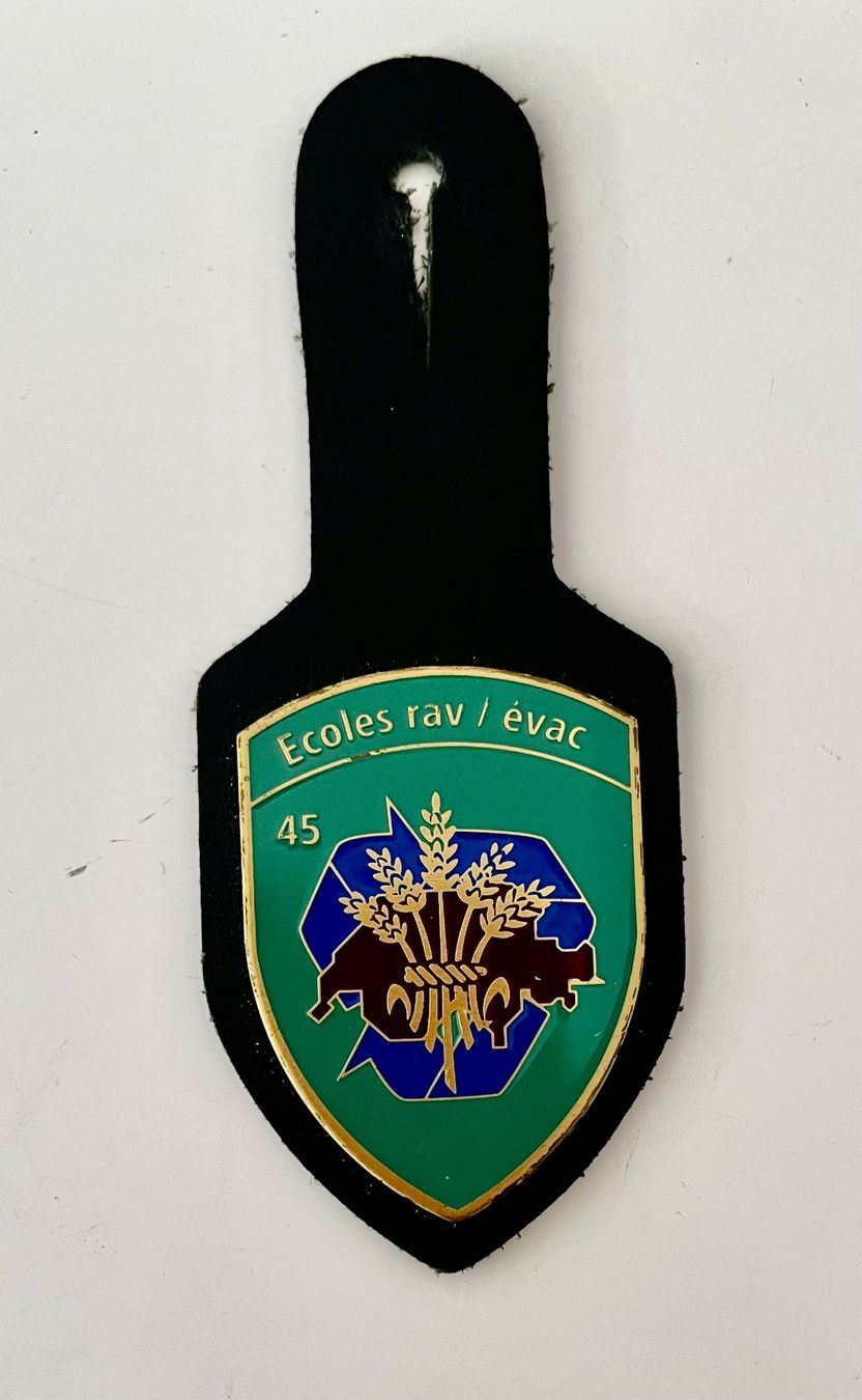 Armée suisse Plaquettes & Badges: Pucelle logistique école ravitaillement 45 – D'occasion à Carouge GE par pierre956