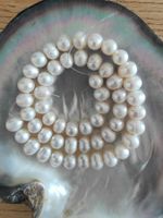 Süsswasserperle, oval ca. 9x10mm, weiss, 47cm