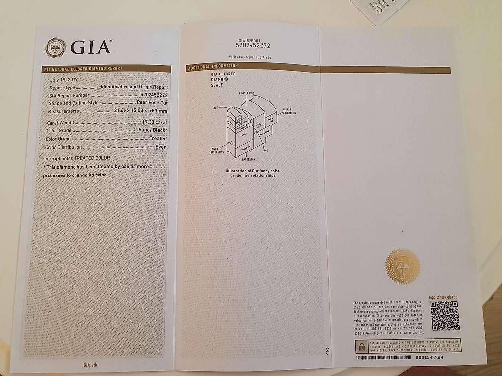 Pietre preziose: Diamant Fancy Black 17.30 ct GIA – Usato da Châtelaine venduto da GenevaTrade 2