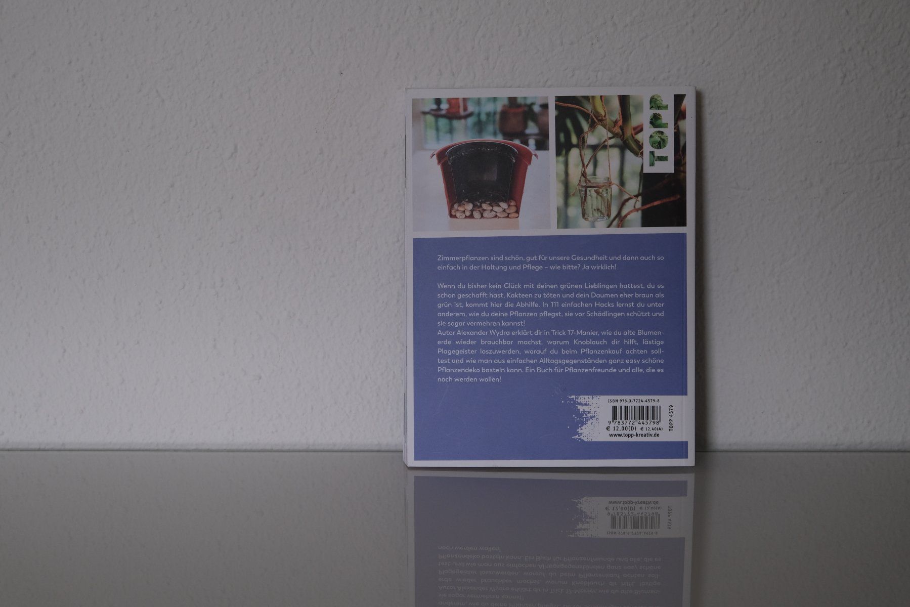Bücher: Trick 17 Kompakt Zimmerpflanzen Buch – Gebraucht aus Olten von RABe2000 2