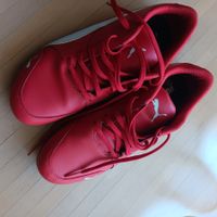Puma Ferrari Turnschuhe Grösse 38