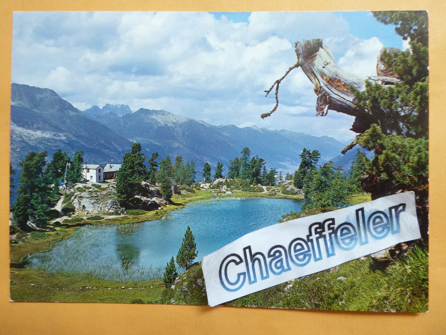 Cartoline postali: Nr. 137  St. Moritz - Hahnensee – Nuovo (secondo la descrizione) da Zürich venduto da Chaeffeler