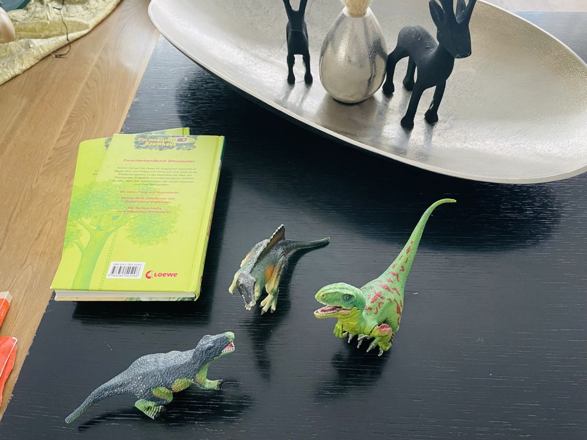 Schleich Spielzeuge: Kinderbücher  + Schleich Dinosaurier Figure – Gebraucht aus Thun von Adrian131 2