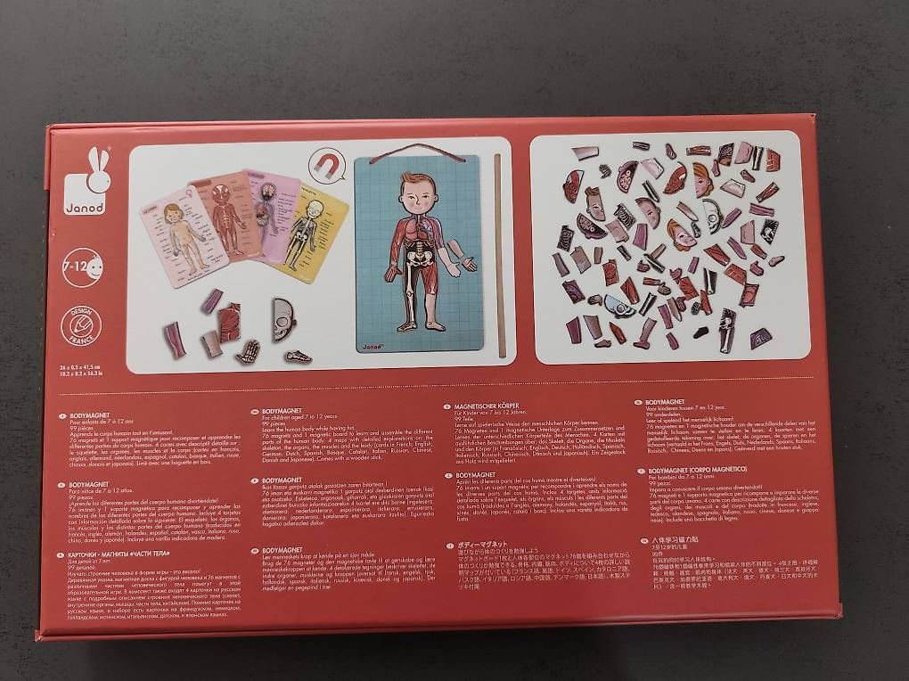 Giochi: Le corps humain magnétique Janod – Usato da Delémont venduto da emm_z2yb 1